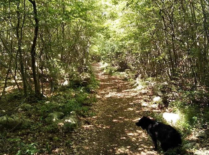 Giovanni Krk * クルク