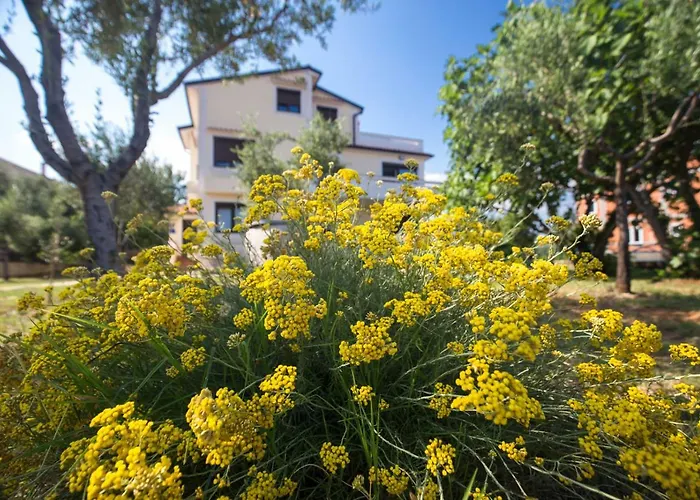 Giovanni Krk * クルク