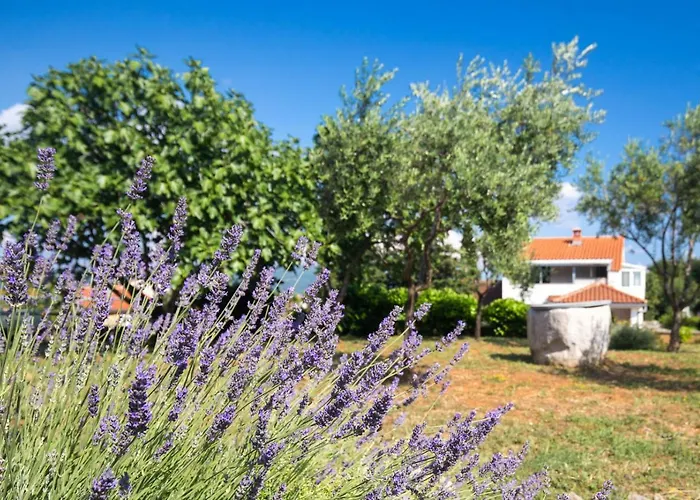 Giovanni Krk * クルク