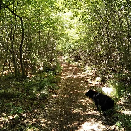 Giovanni Krk * Krk Town