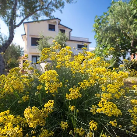 Giovanni Krk * קרק