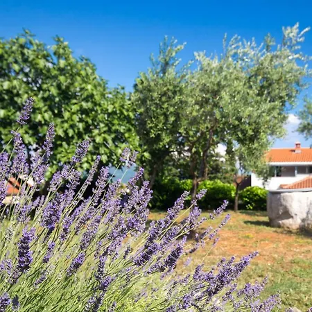 Giovanni Krk * קרק