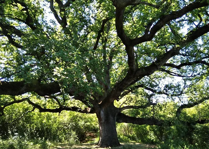 Giovanni Krk Apartmán Krk Town